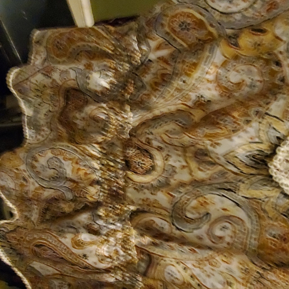 Alfred Dunner - Picture 4 of 5